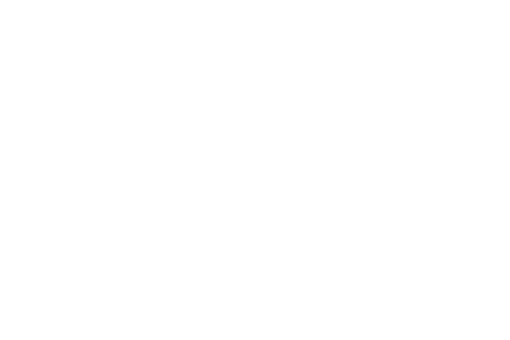 TravelLeisure logo